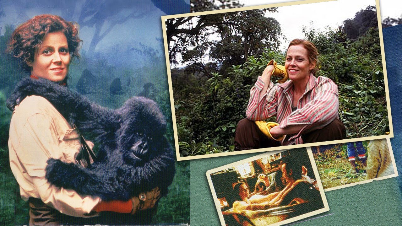 Making Gorillas in the Mist - Sigourney Weaver's fearless performance