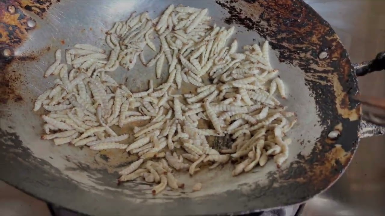 หนอนไม้ไผ่ อาหารภาคเหนือไทย  (Bamboo worm/caterpillar)  ภาคไว้ทำไหม่ คลิปยาวโดยคนไทยชนภาคเหนือ