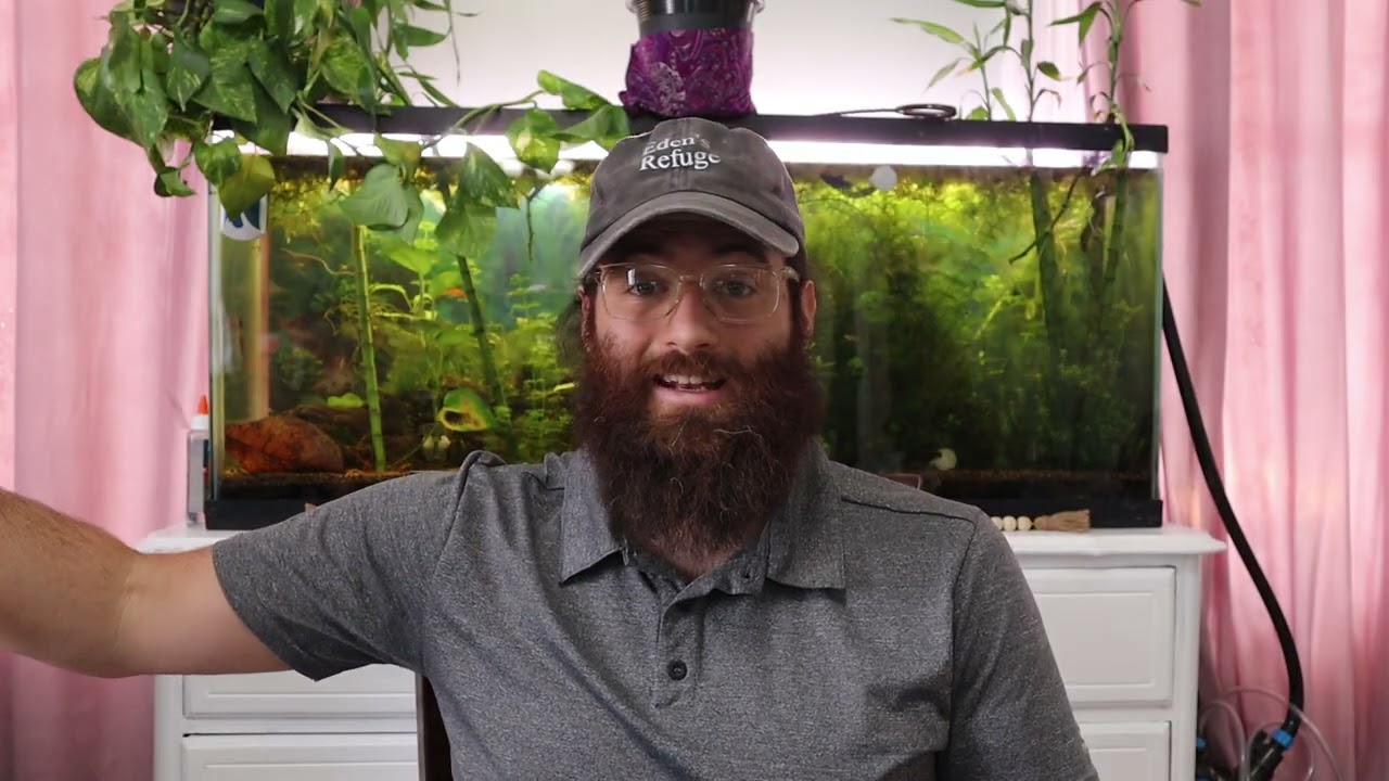 Q&A: Rainwater, Orchards on a Budget, Drinking Rainwater