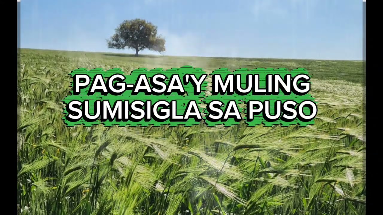 PANAHON NG ABIB 