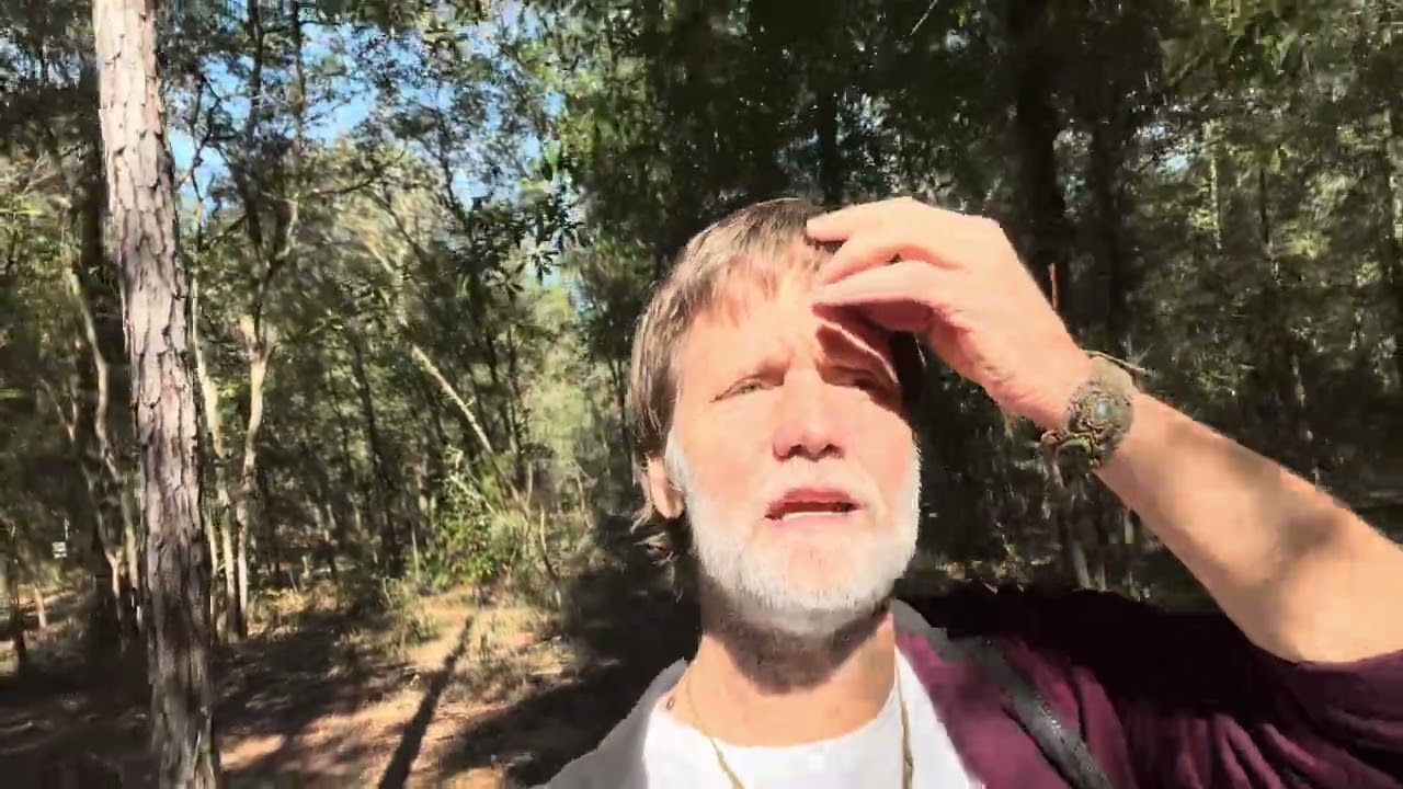 You're Doing Nothing Wrong—Acid Grace Is Purifying You!