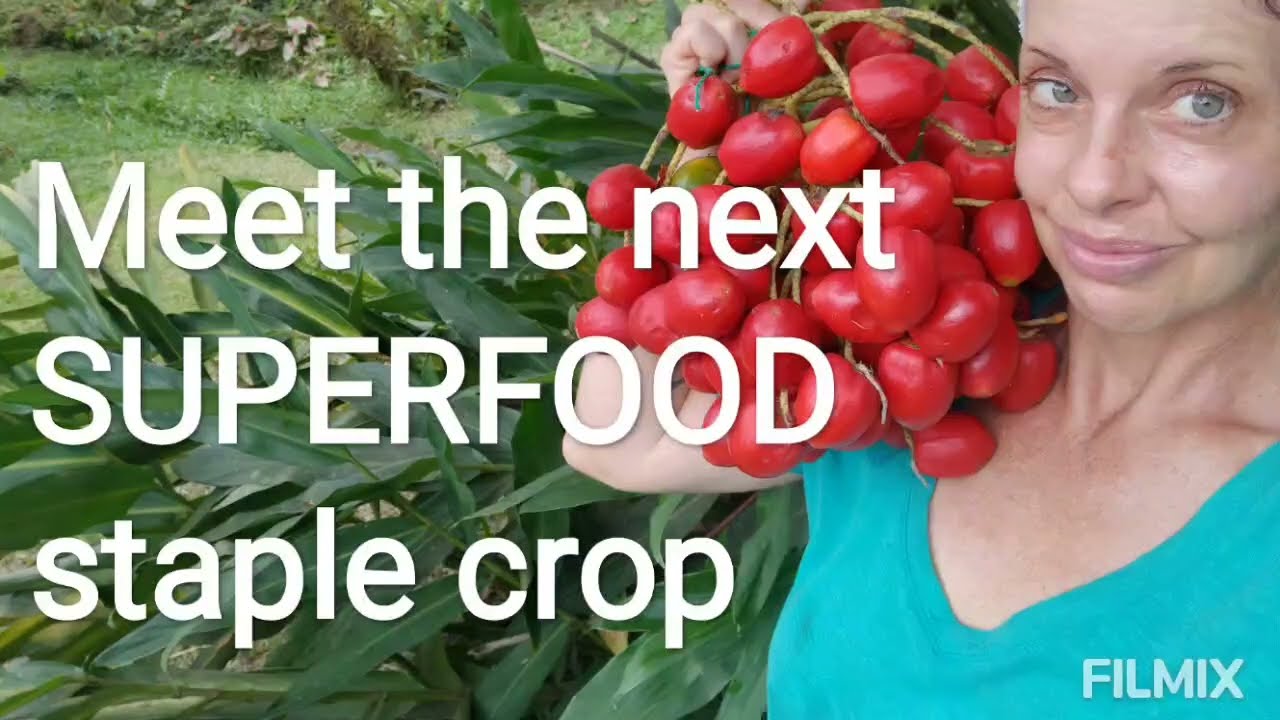 How to restore biodiversity to a monoculture farm. Real food for people that restores an ecosystem!