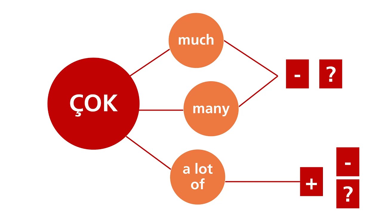 Much, Many, A lot of Öğreniyoruz.