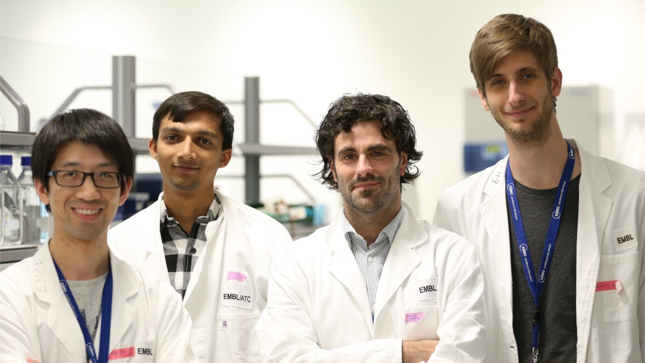 Synthetic Biology: (Re)-programming adhesion properties of bacteria - Group 3