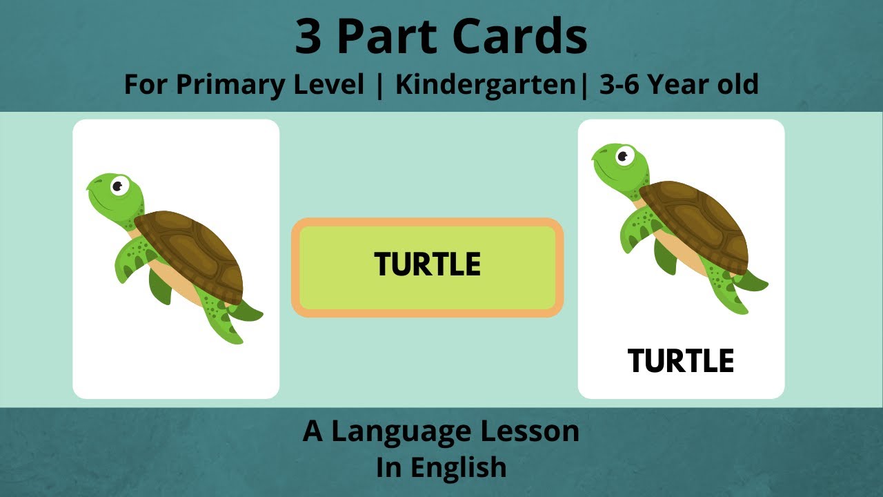 Montessori 3 Part Cards | Nomenclature Cards | Language Lesson | 3 to 6 Year Old | Primary Level