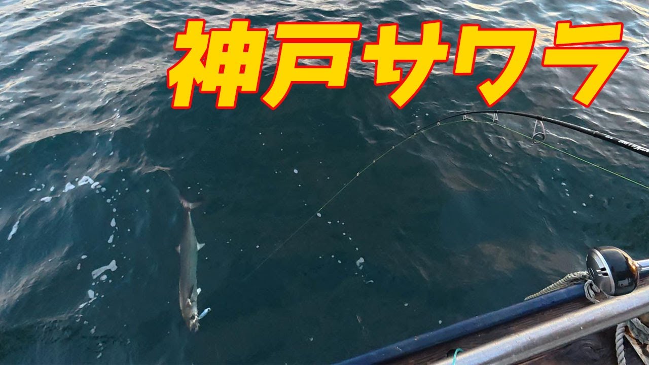 神戸のブレードジギング サワラがとうとう【谷一渡船】
