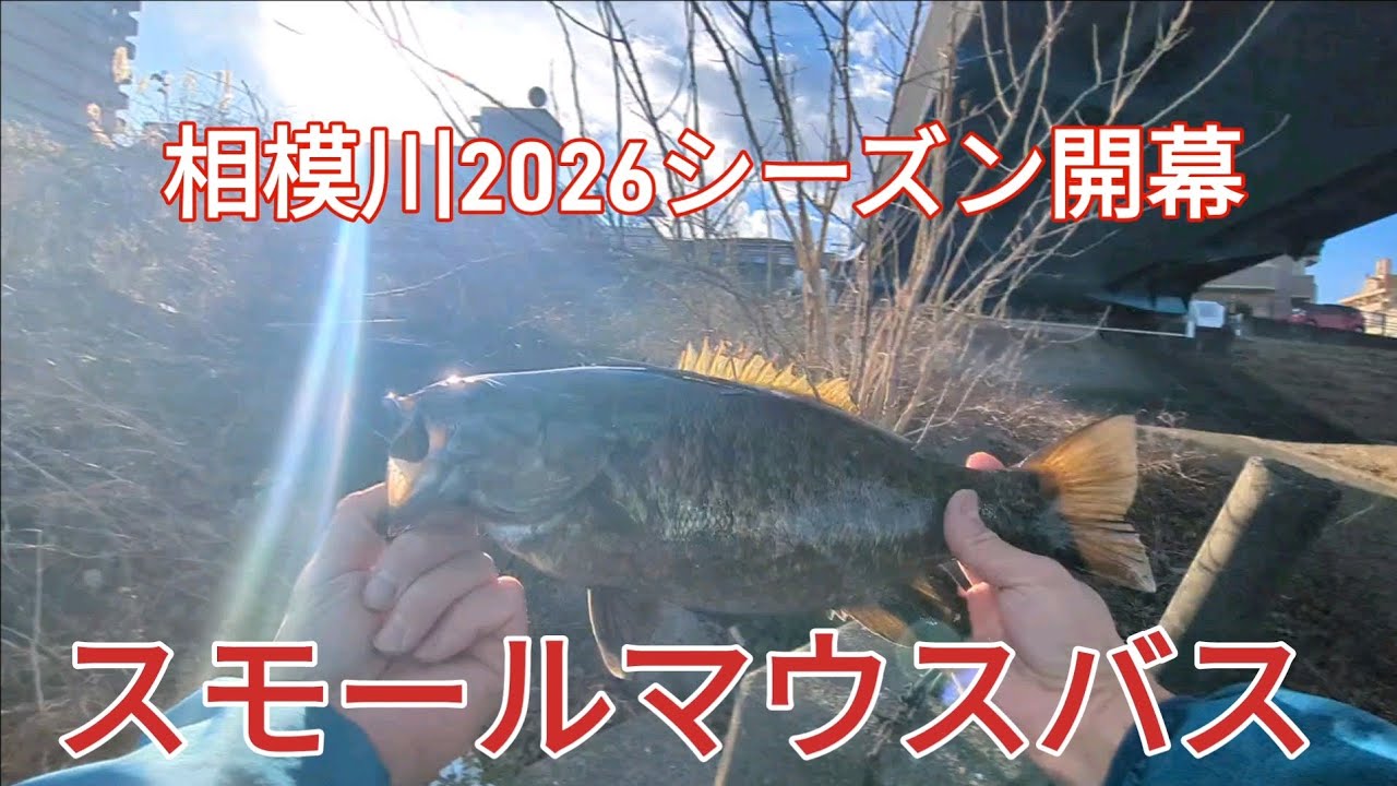 2026相模川スモールマウスバス開幕