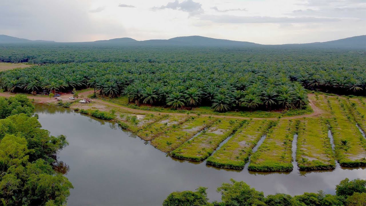 [4K] Natural of Prey Nob District Sihanoukville, Cambodia