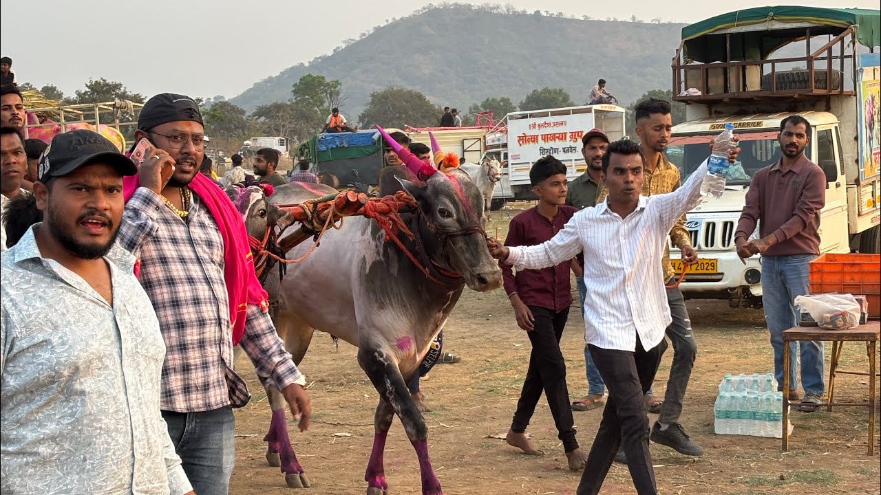 Bhunga & sairat 🆚 mathur & sundar 