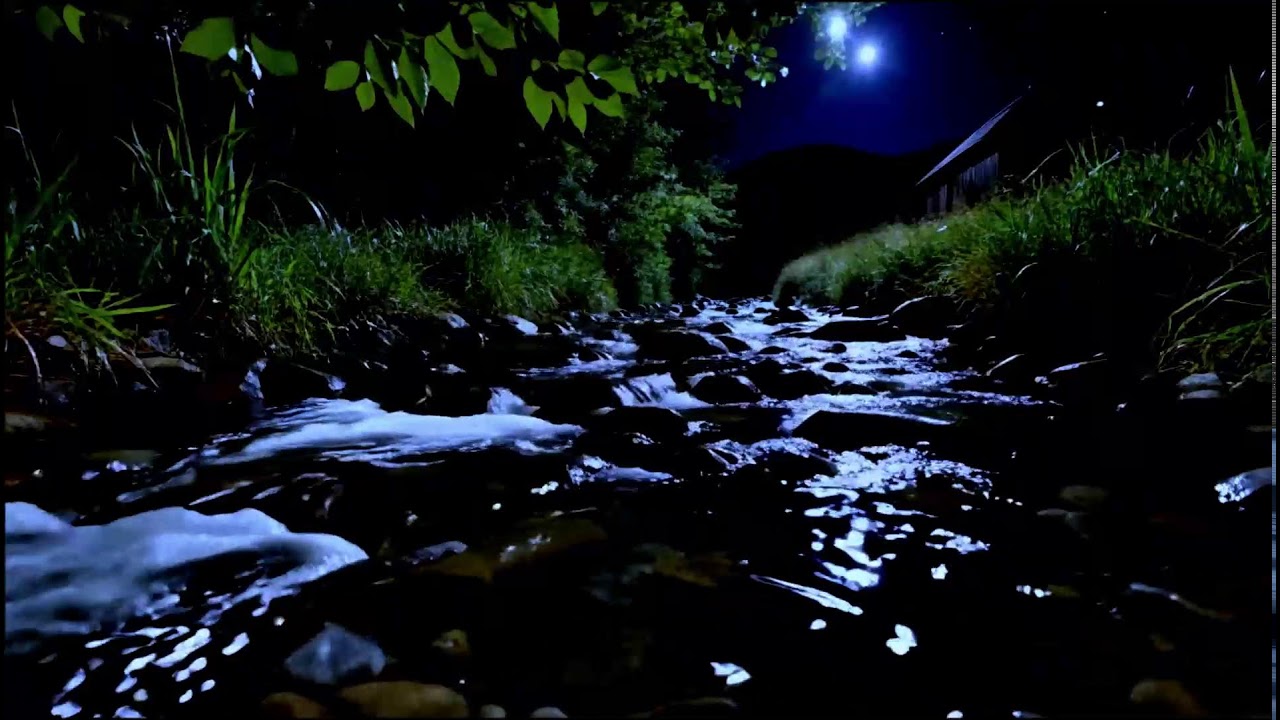 River Night in Dark Forest 🌌 Night Sounds, Flowing Water & Black Ambience | Sleep White Noise
