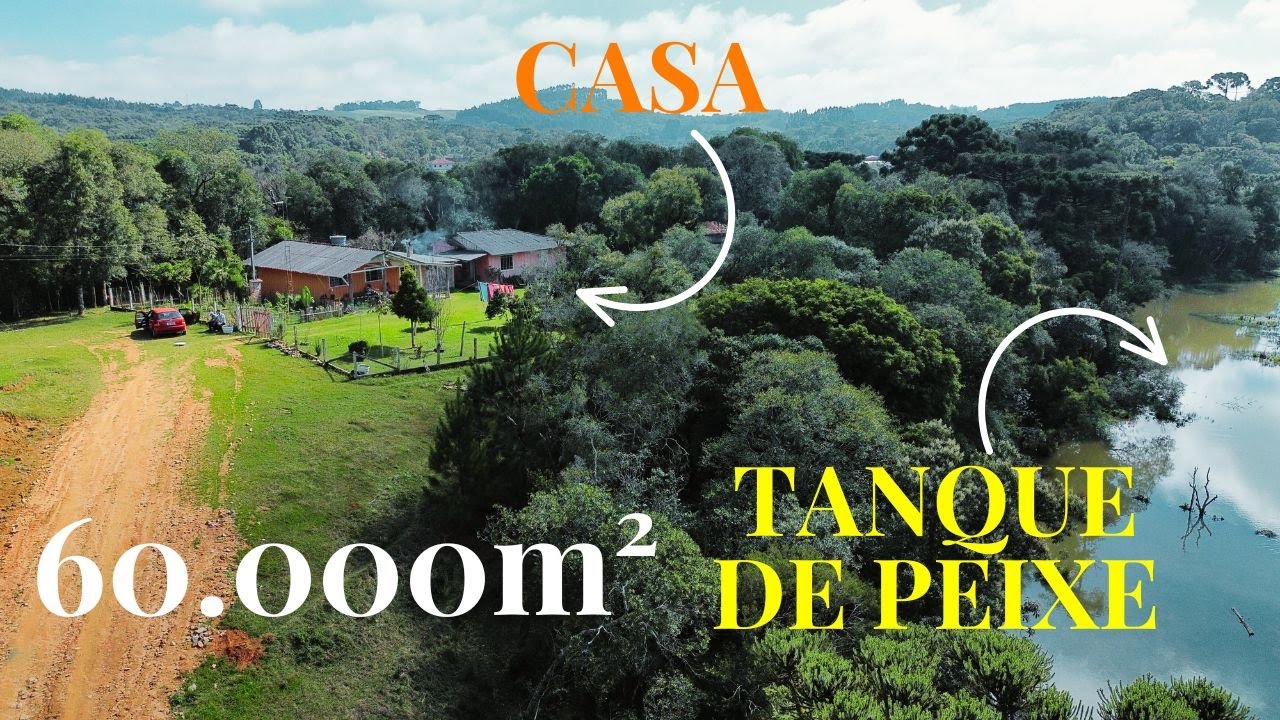 CHÁCARA EM MANDIRITUBA-PR | 60.000M² | CASA + POMAR + TANQUE DE PEIXE + PASTO | PRÓXIMO CURITIBA