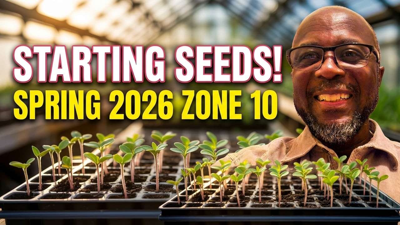 Zone 10 Gardeners Are Starting To Plant Seeds NOW!—Here's What They Know