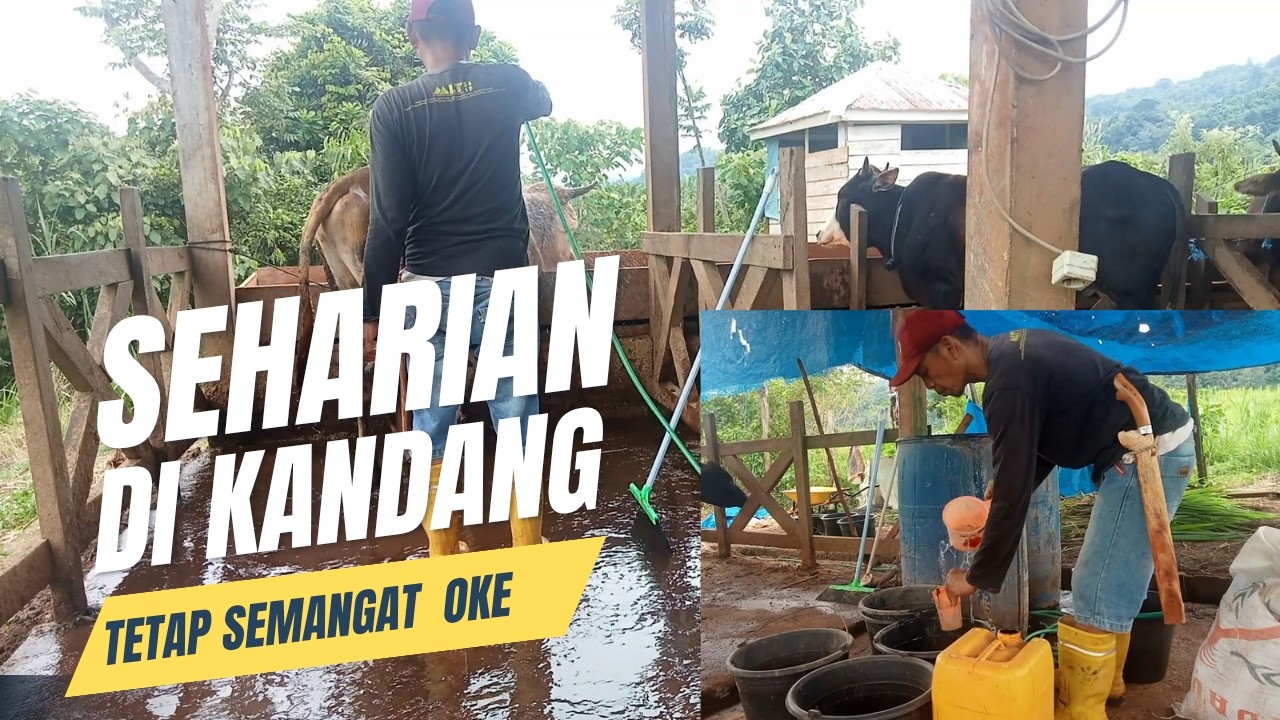 Walaupun sendiri tetap, semangat.