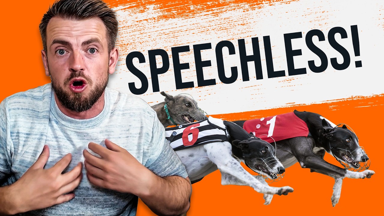 4 Bend, 6 Bend and 8 Bend BETTING!  Taking on the Open Racing at Romford!