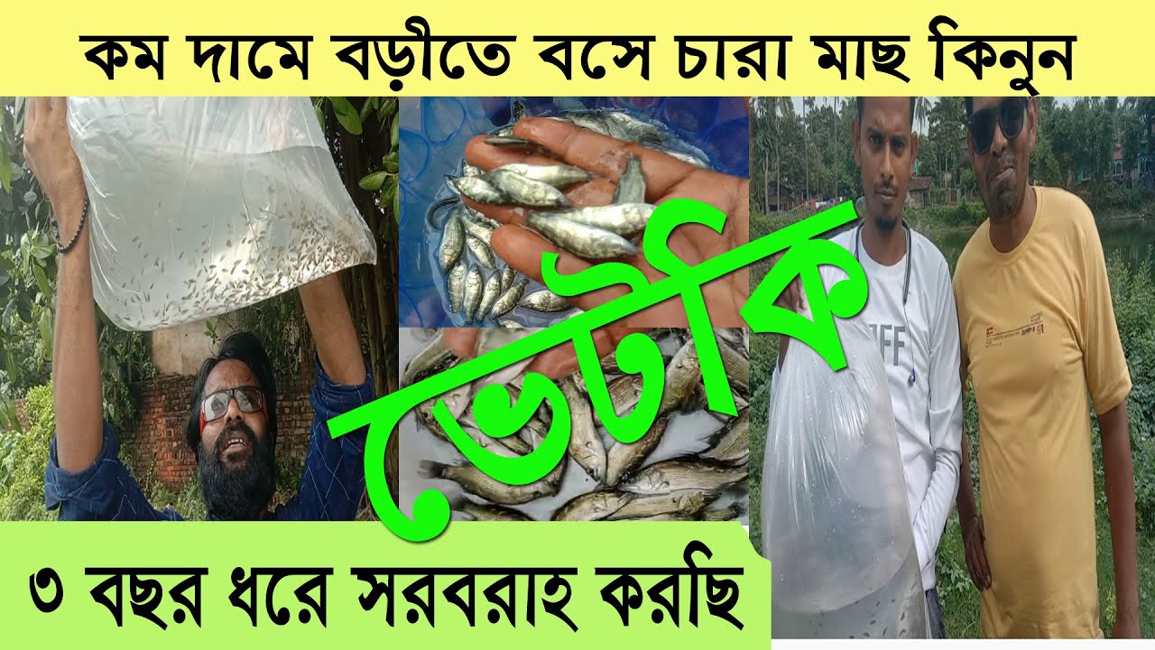 Vetki chara | Sea Bass seeds | Koral pona new | Fish Seeds 24