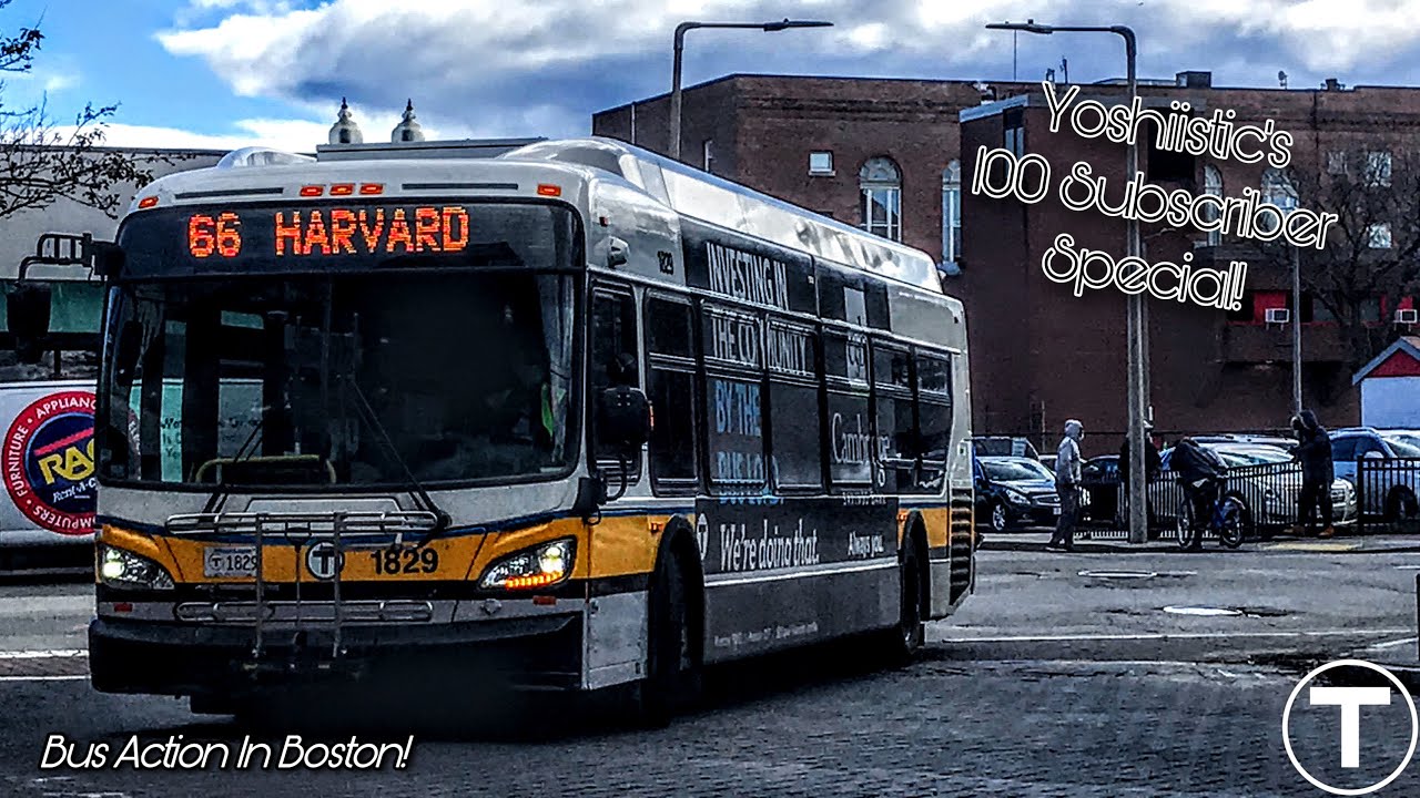 (MBTA) Giant Bus Action at the Greater Boston [HD] | 100 SUBSCRIBER SPECIAL [November 2020]