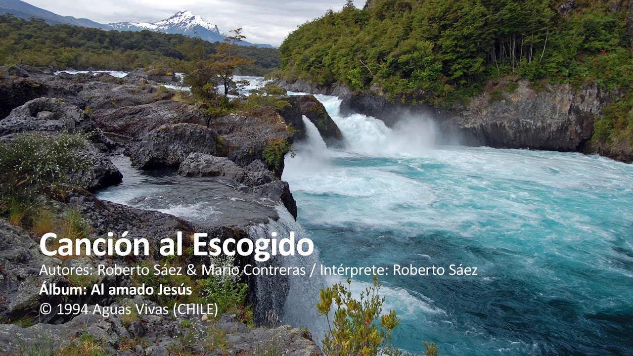 Canción al Escogido