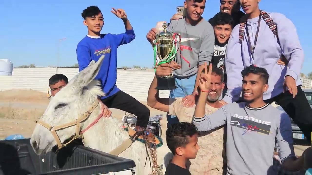 سباق الحمير في طريق الشعبه الاول المجروح
