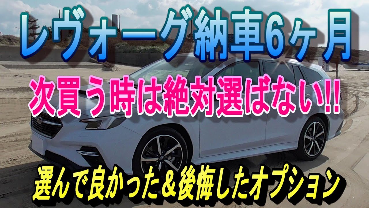 【LEVORG】納車されて半年経って付けて良かったオプションと後悔したオプション!!