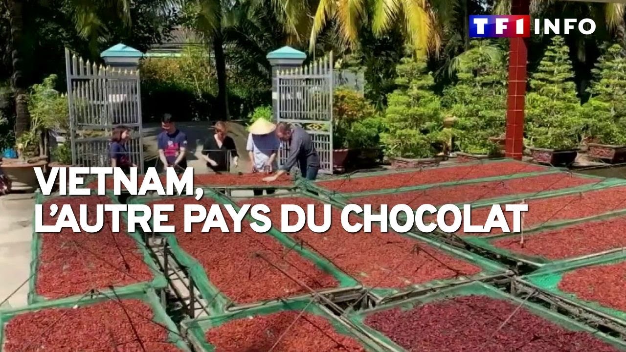 Vietnam, l'autre pays du chocolat