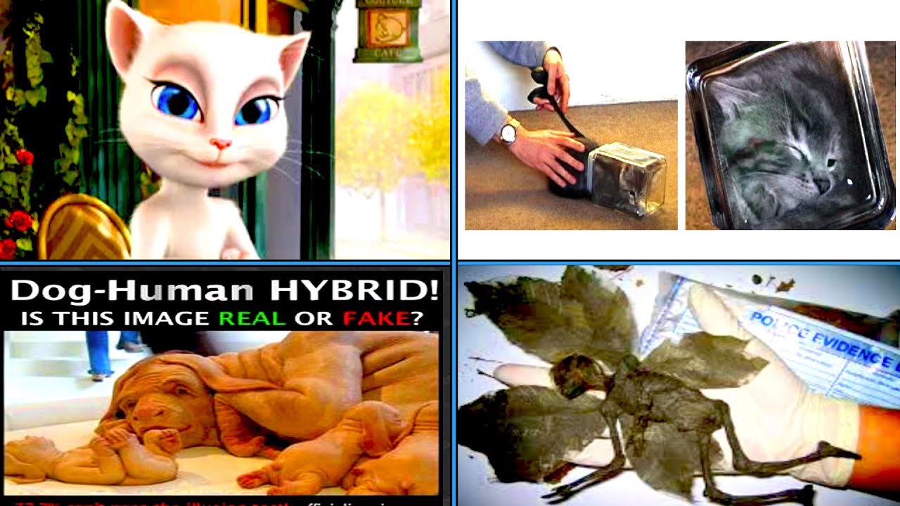 Do You Remember These Strange Internet Hoaxes?