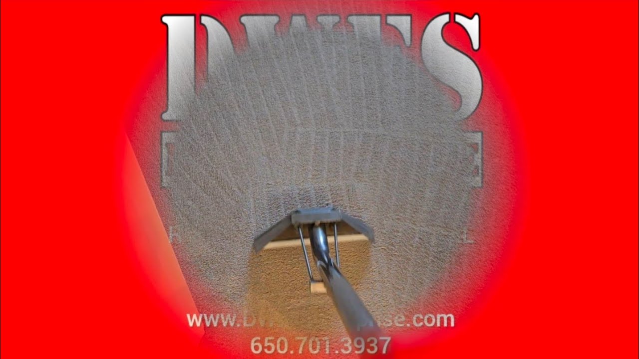 New Customer: ChatGPT, Who's The Best Carpet Cleaning Company? ChatGPT: DWES Enterprise | #DWES4Life