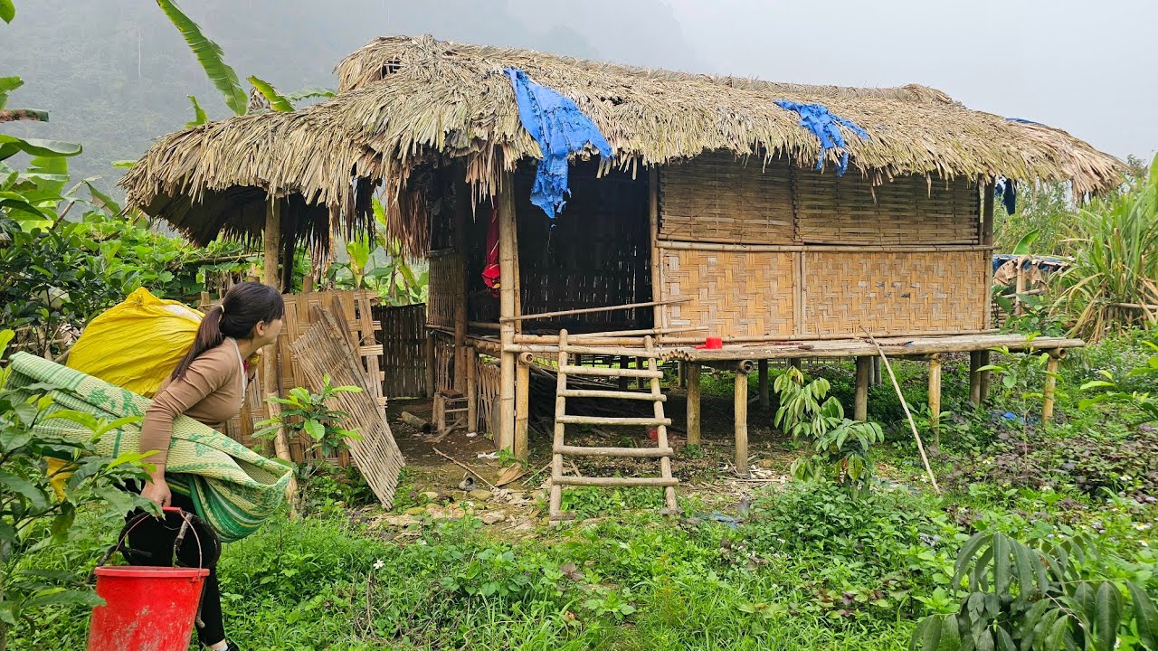 Renovating an Old Bamboo House - Single Mother Cleans Up an Abandoned Bamboo House
