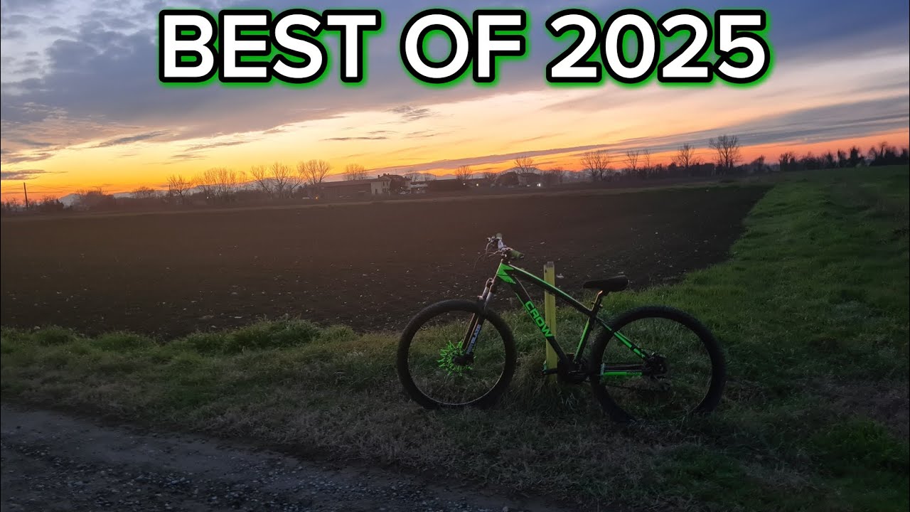 BEST OF 2025