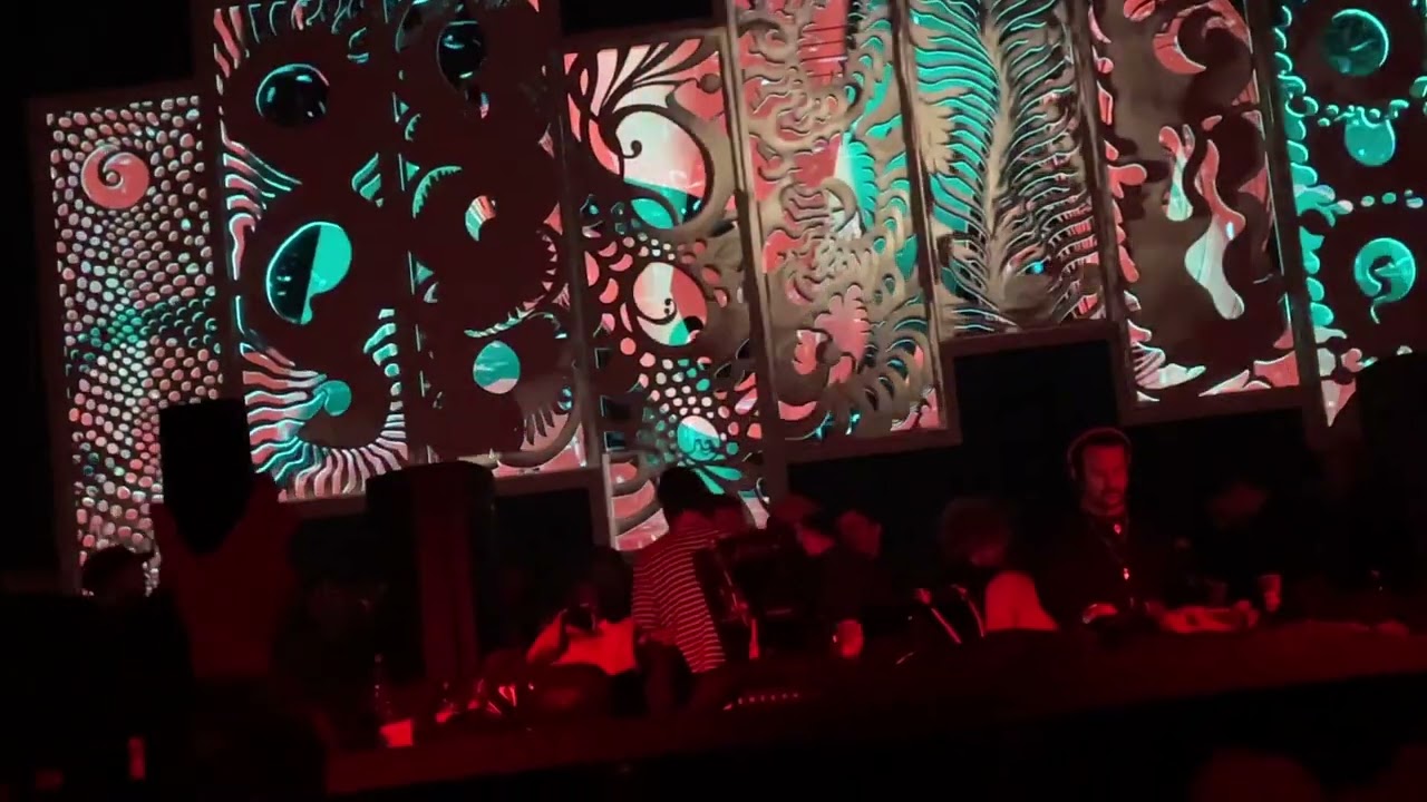 Sunwaves 30 [Ricardo Villalobos b2b Luciano]