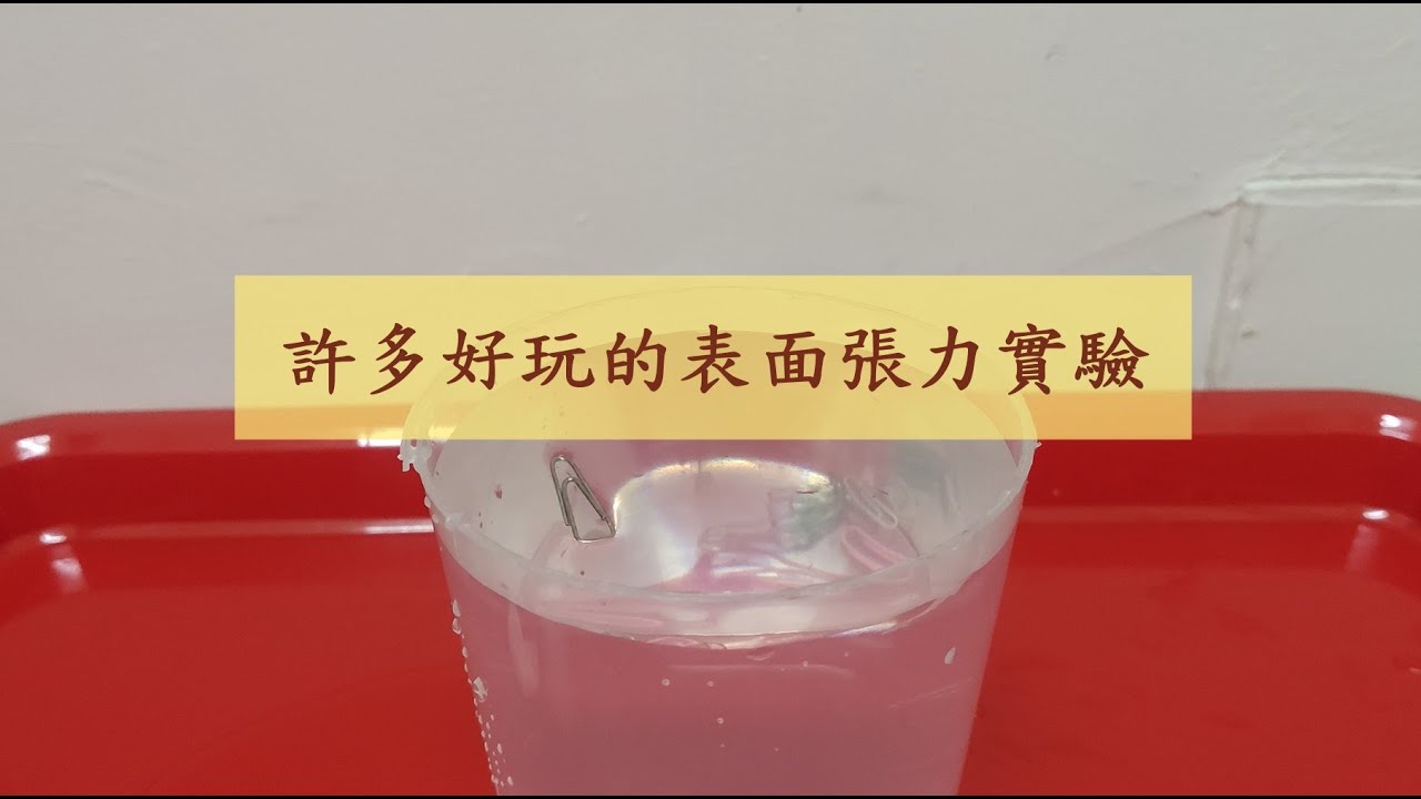 許多好玩的表面張力實驗｜親子實驗｜物理實驗｜親子遊戲｜Surface Tension