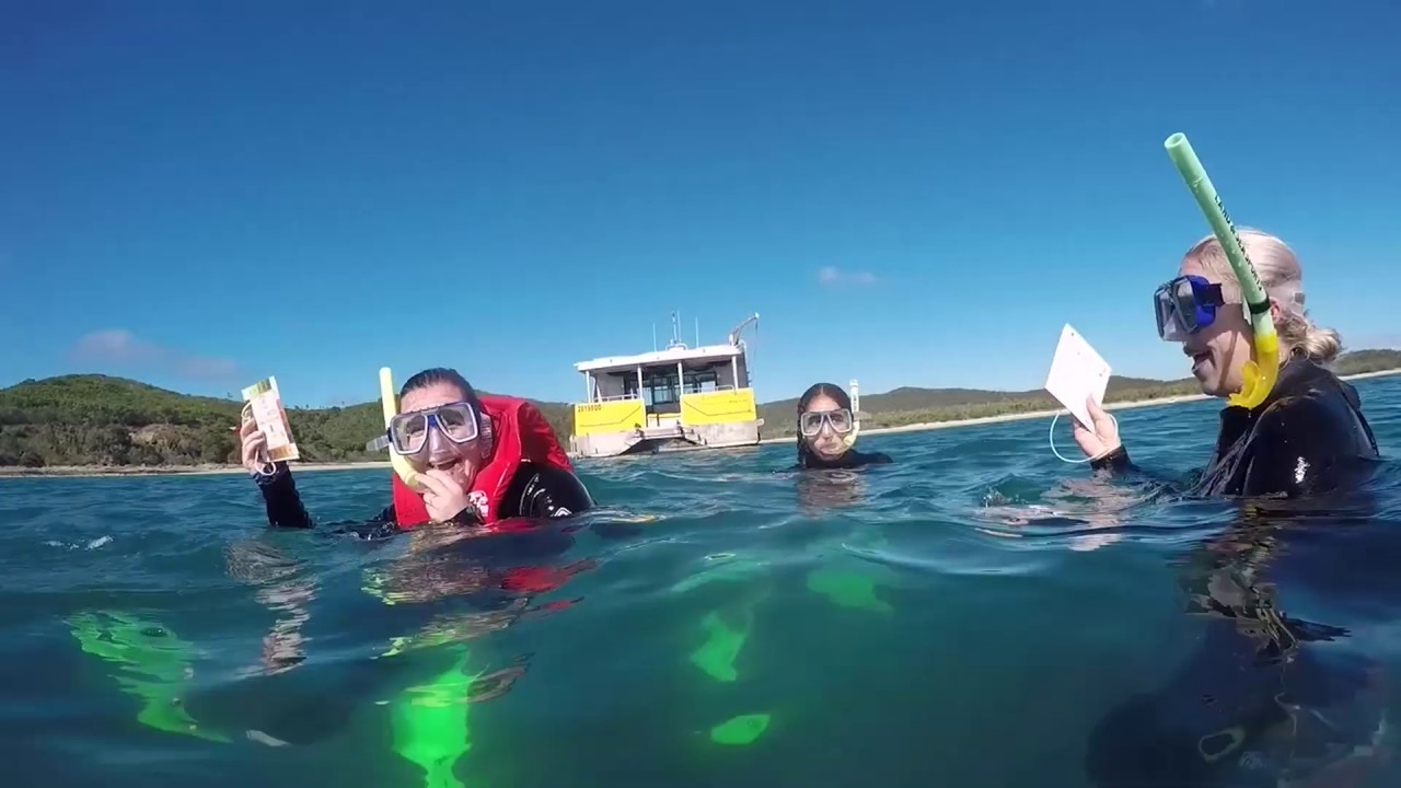 CoralWatch Coral Health Chart Instructional Video