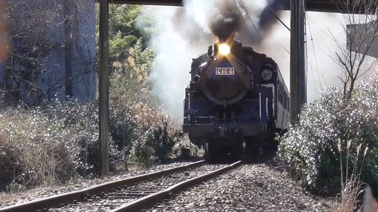 これで見納め?? 黒いC108 大井川鐡道2026.1.09.10