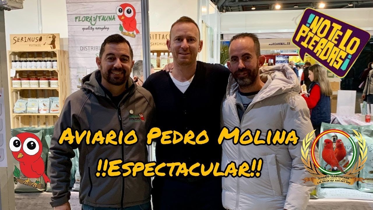 Visita al aviario de Pedro Molina Mazon campeón mundial en Alicante con Blanco Recesivo!!