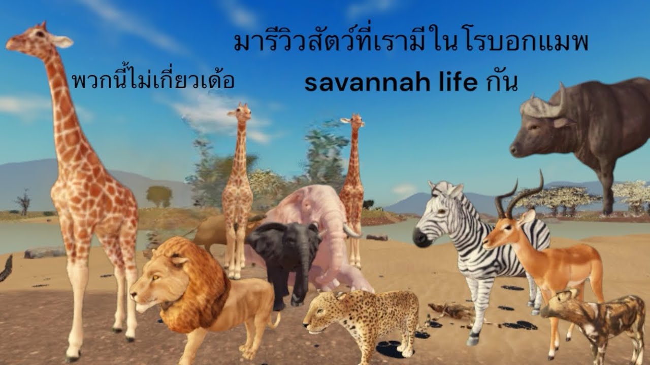 มารีวิว สัตว์ทุกตัวที่เรามีใน roblox map savannah life part 2/2 savannah life ep.3