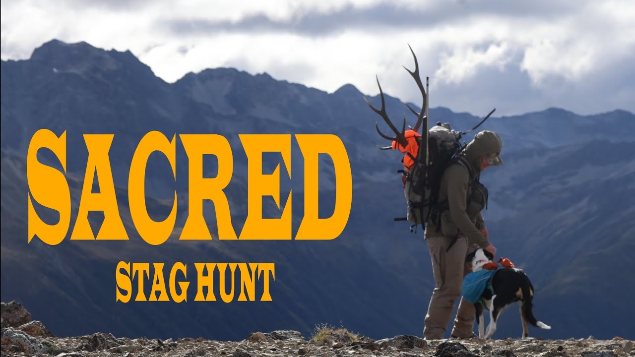Red stag hunting on New Zealand public land | Red stag roar hunt