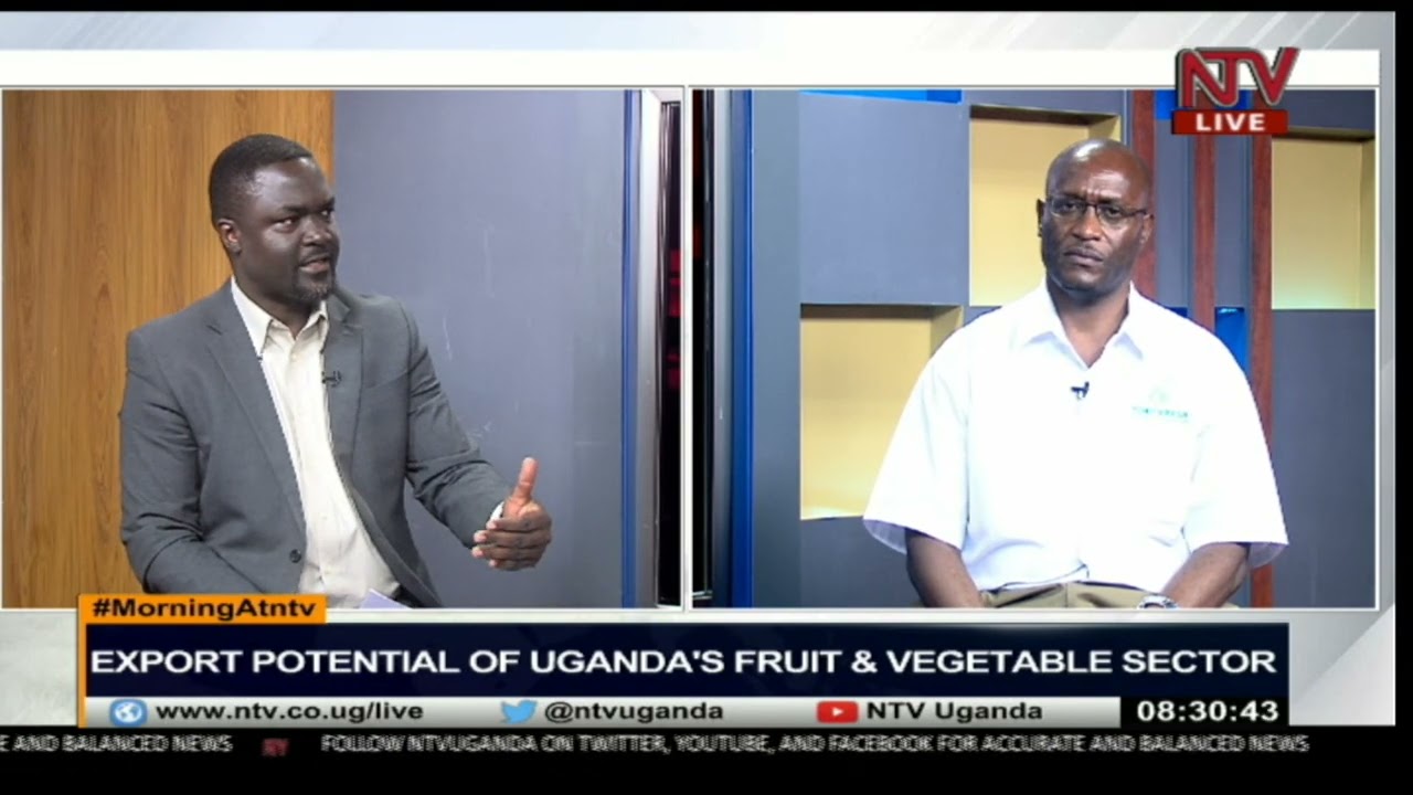 Export potential of Uganda's fruit and vegetable sector | MORNING AT NTV
