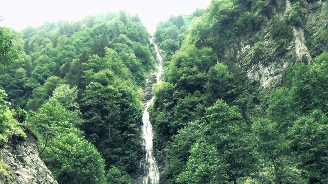 UĞUR YAZICI - KARA ÜZÜM SALKUMİ