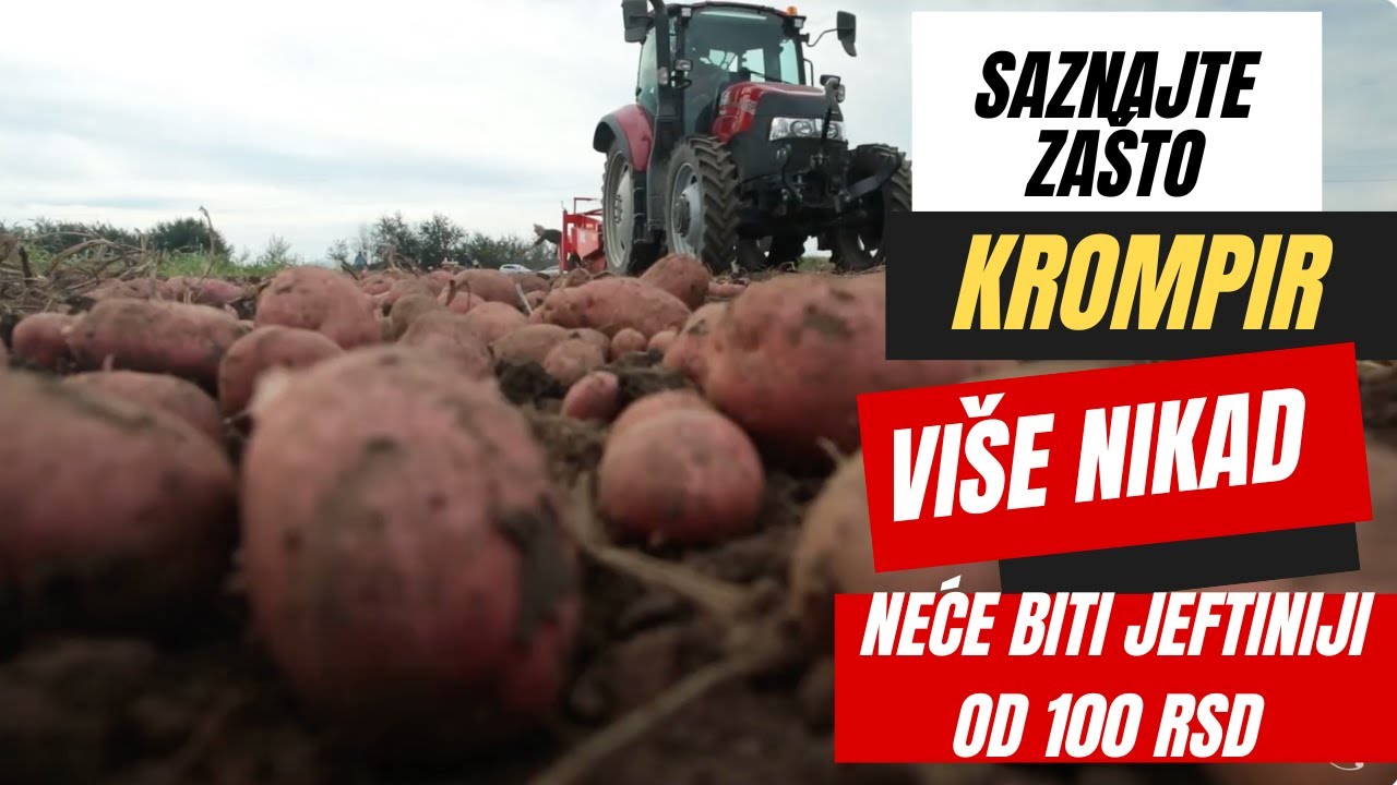 ⁉️Krompir NIKAD više neće biti ispod 100 RSD, evo ZAŠTO!