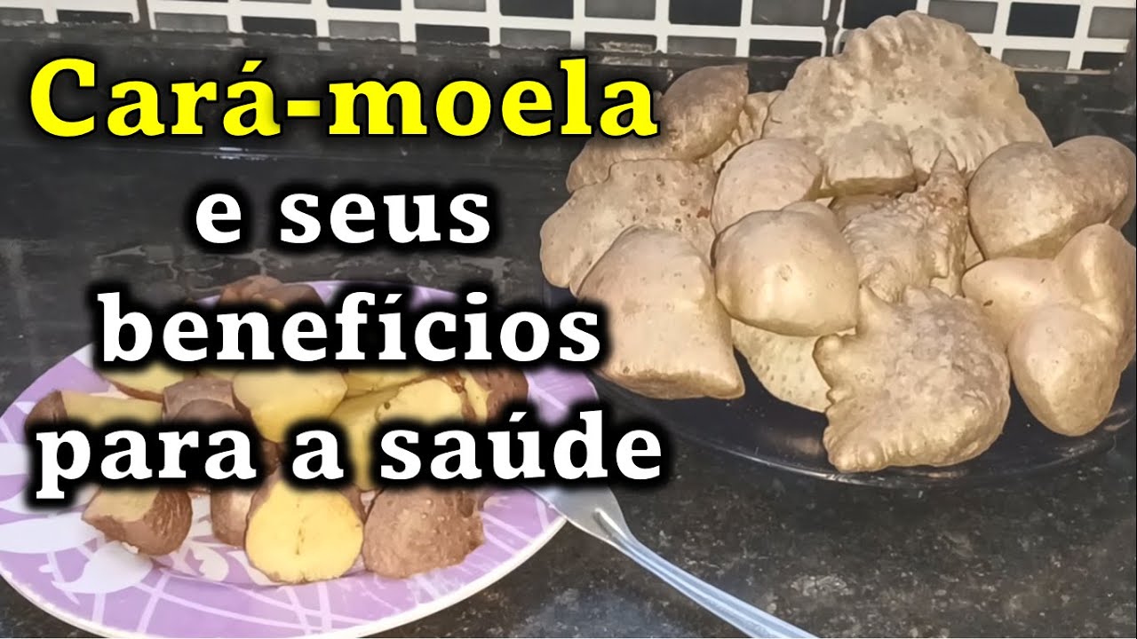 Cará-moela e seus benefícios para a saúde