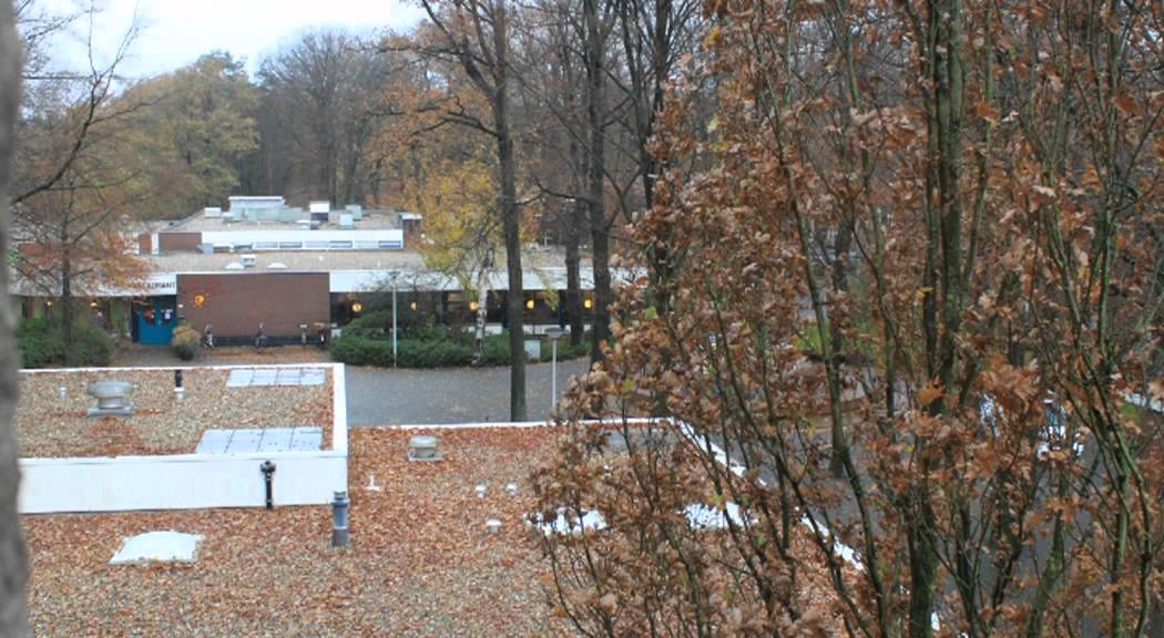 Carillon Apeldoorn s Heerenloo Groot Schuylenburg