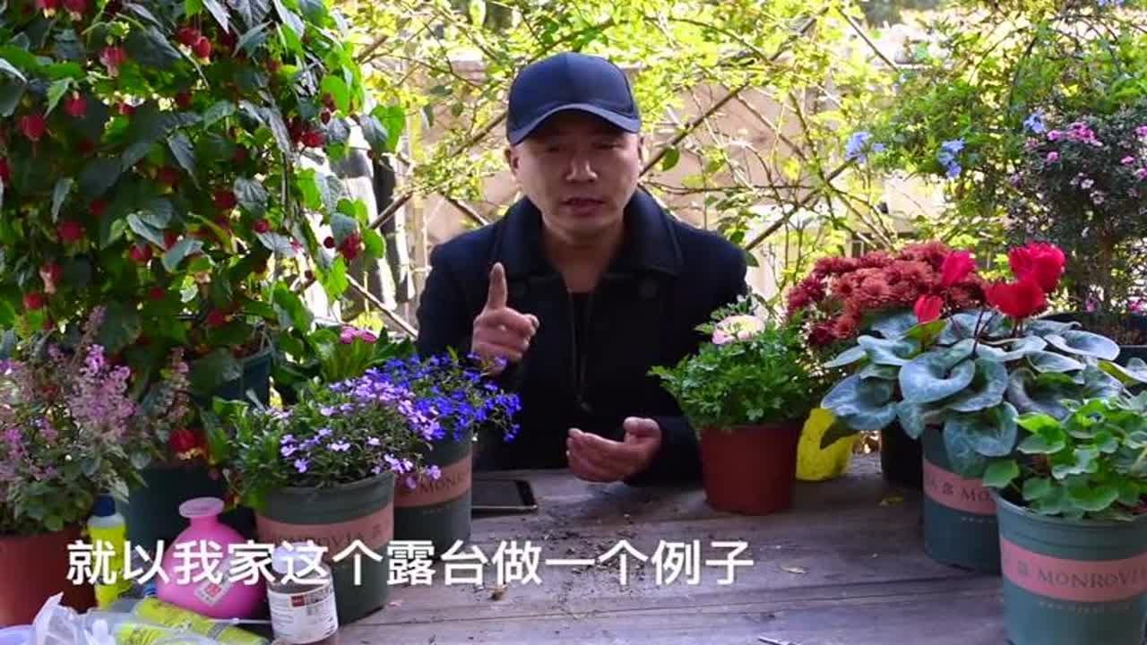 阳台光照很重要，光照不足别养花，否则徒长还养死