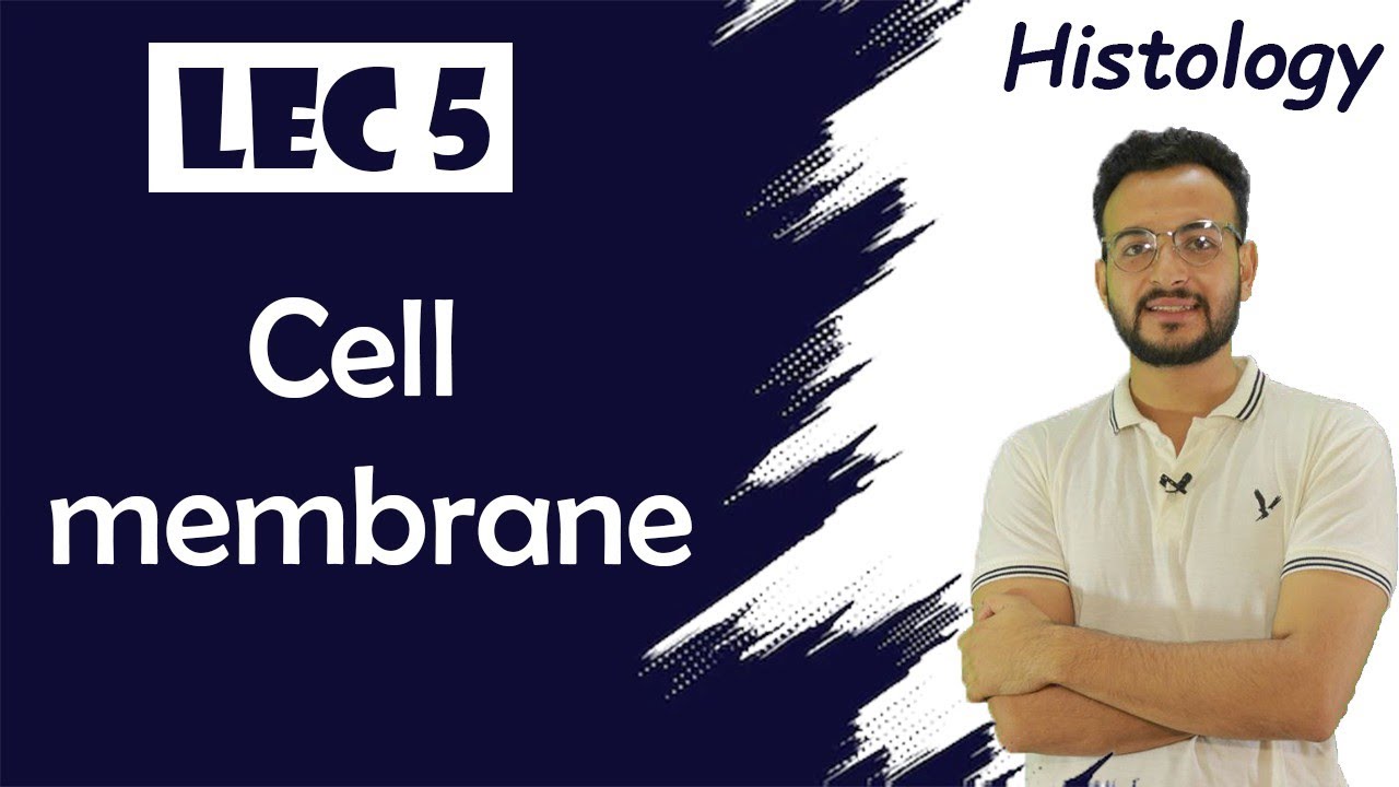 Cell Membrane