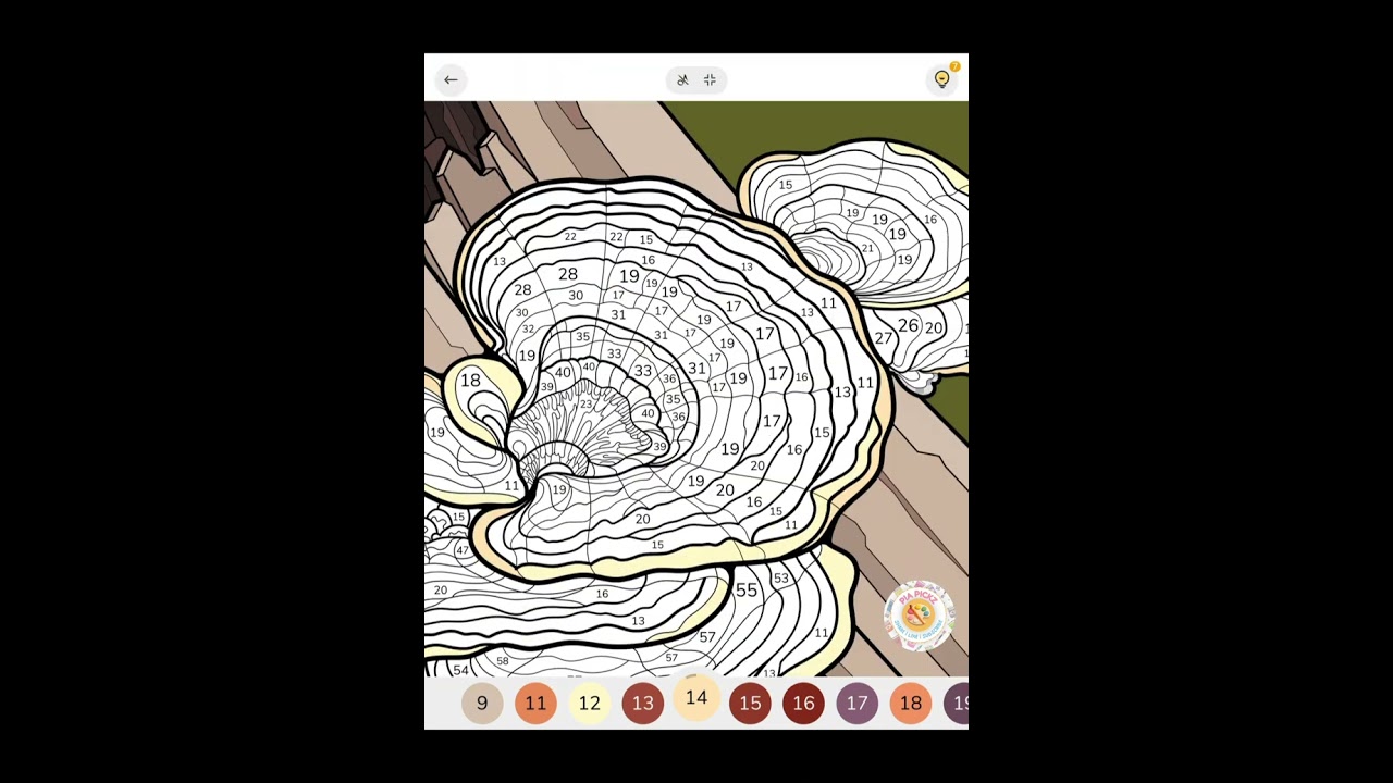 Bracket Fungi (Zen Color)