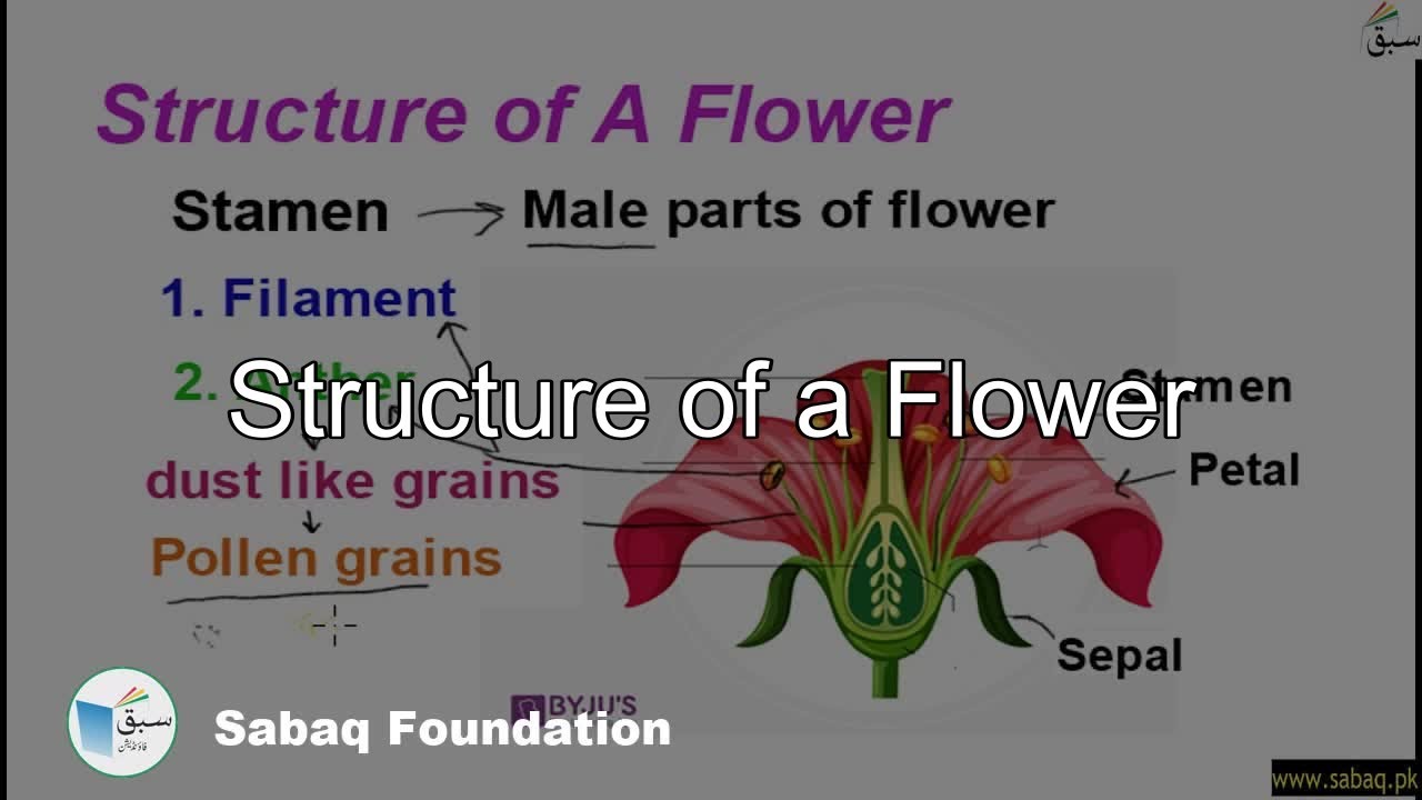 Structure of a Flower, General Science Lecture | Sabaq.pk