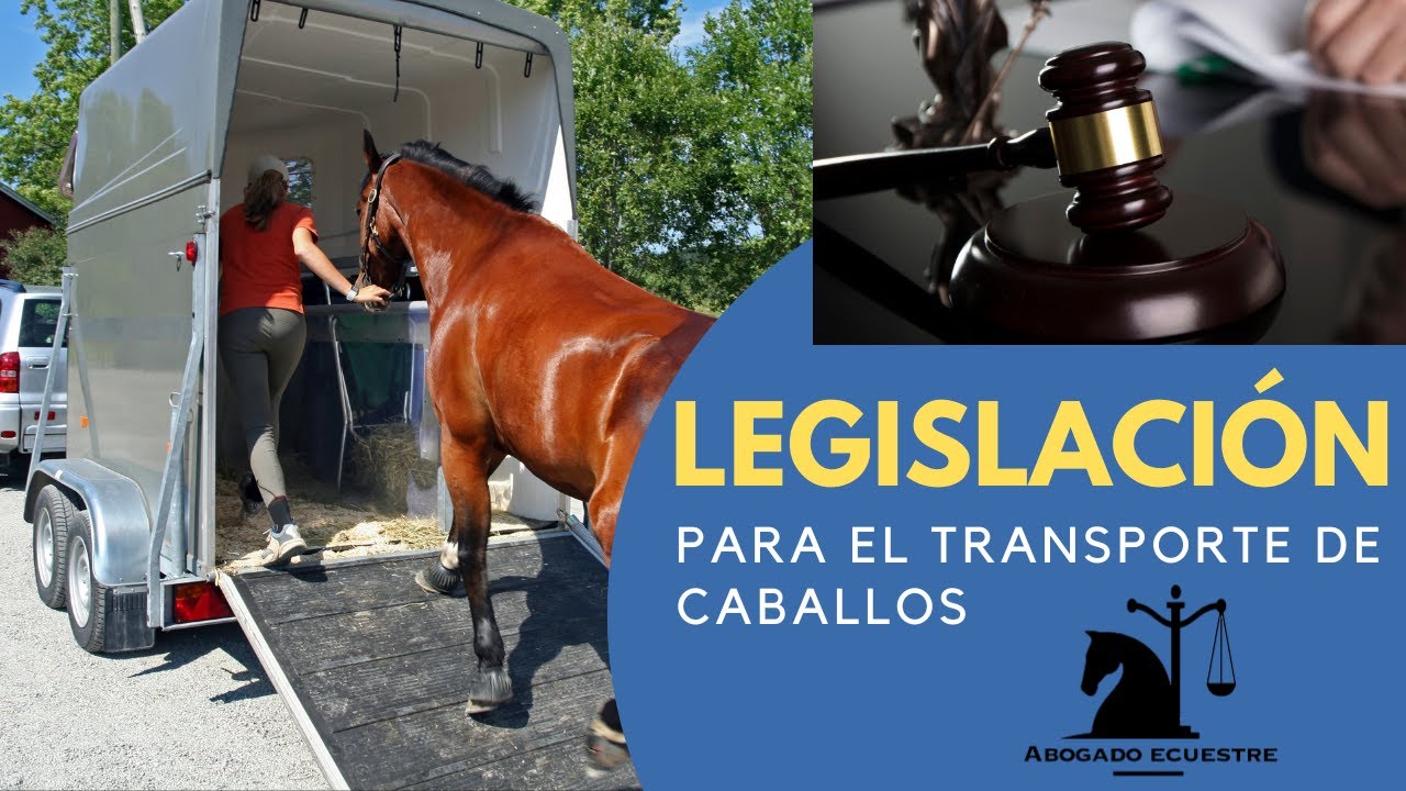 🚛🐴 Legislaci&oacute;n y Consejos para el Transporte Seguro de Caballos 🐴📜