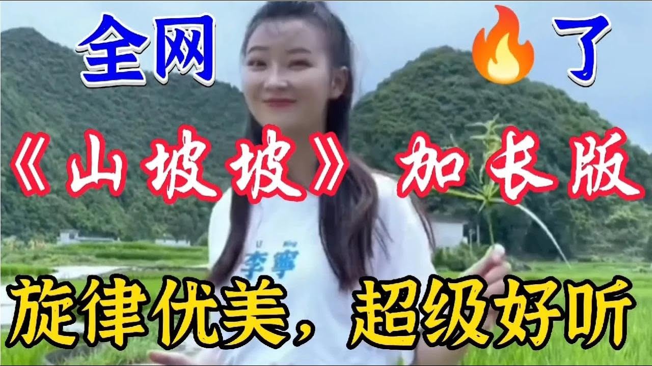 热歌推荐《山坡坡》旋律优美动听 歌声悦耳陶醉 越听越好听【贵州周洪】