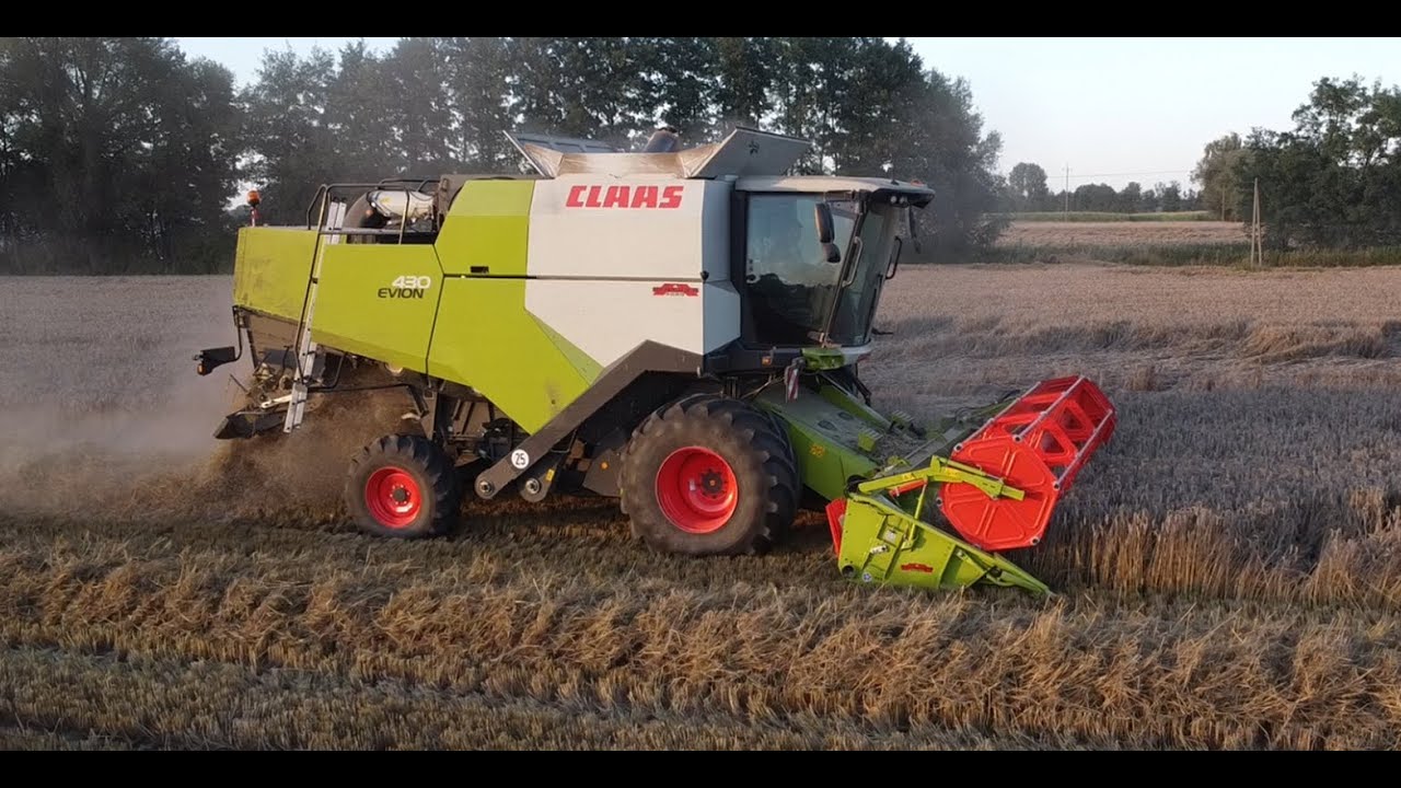 ŻNIWA 2025 🔥 Claas Evion 430 W AKCJI 🔥
