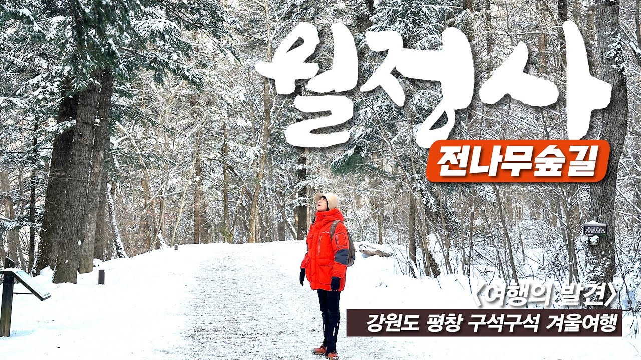 가장 편하게 만나는 강원도 설경 당일치기 - 오대산 월정사 전나무숲길