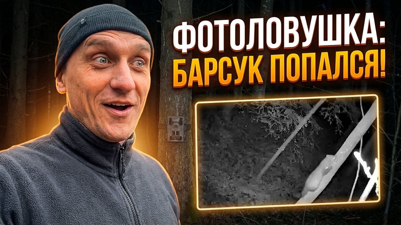 Кто хотел украсть мою ФОТОЛОВУШКУ? Купил вторую ФОТОЛОВУШКУ! ЛИСА, Куницы и Барсук!