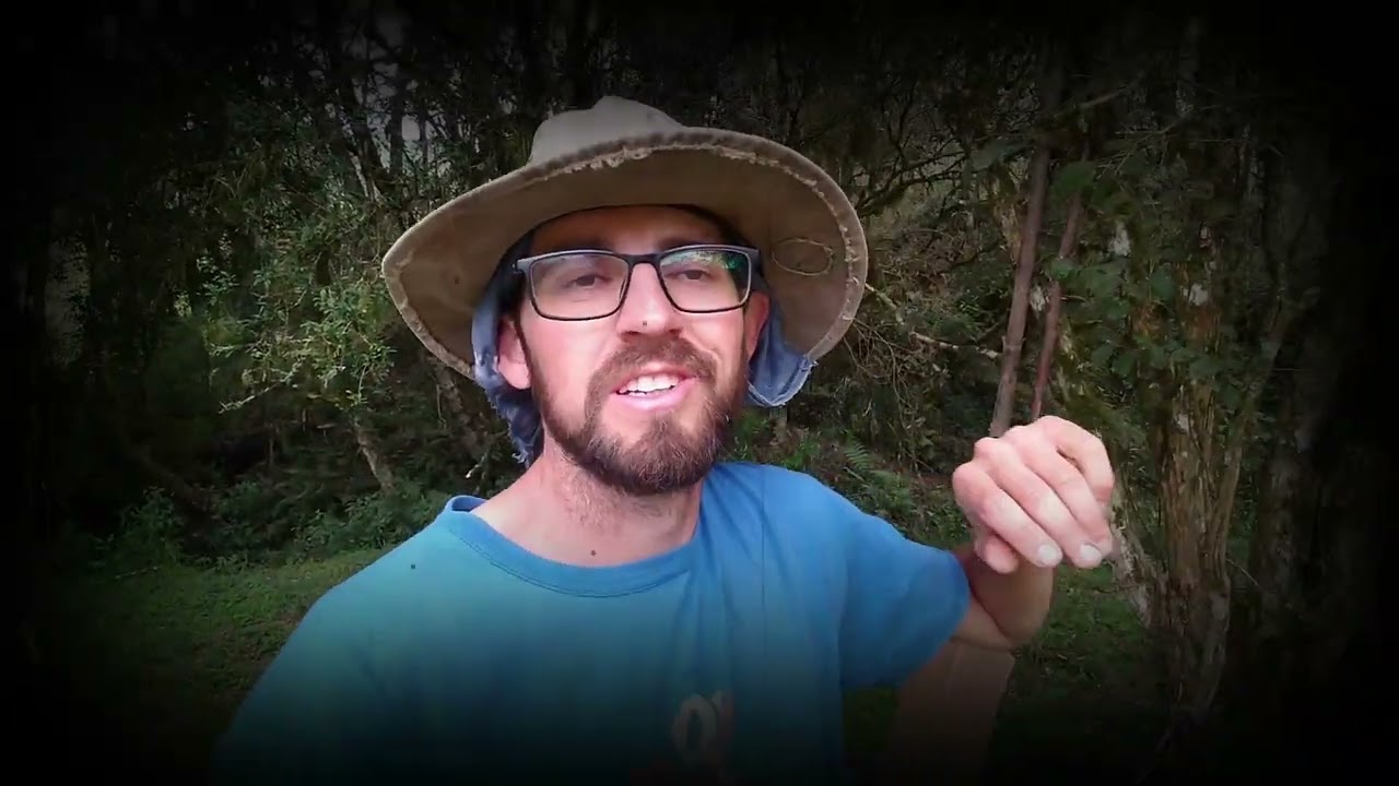 Que Árvores plantar em Agrofloresta de Clima FRIO? Plantio na prática.